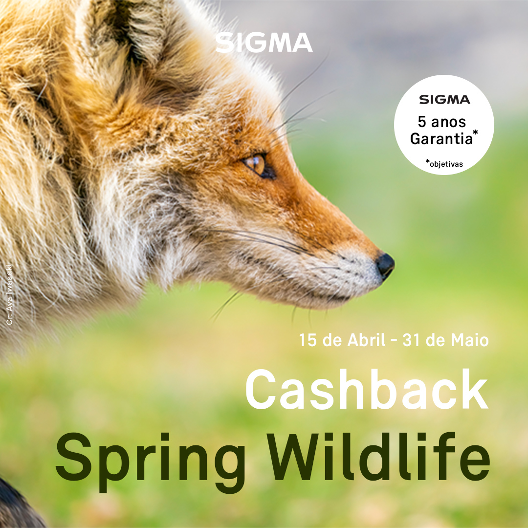 Campanha de Reembolso SIGMA Spring Wild Life
